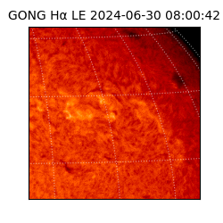 gong - 2024-06-30T08:00:42