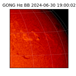 gong - 2024-06-30T19:00:02