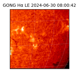 gong - 2024-06-30T08:00:42