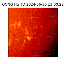 gong - 2024-06-30T13:00:22