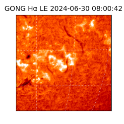 gong - 2024-06-30T08:00:42