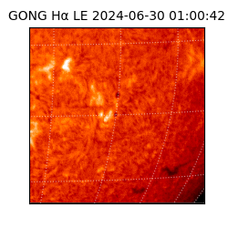 gong - 2024-06-30T01:00:42