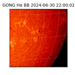 gong - 2024-06-30T22:00:02