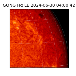 gong - 2024-06-30T04:00:42
