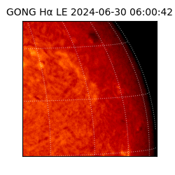 gong - 2024-06-30T06:00:42