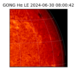 gong - 2024-06-30T08:00:42