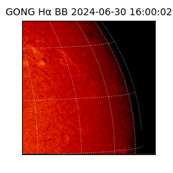 gong - 2024-06-30T16:00:02