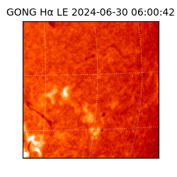 gong - 2024-06-30T06:00:42