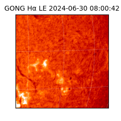 gong - 2024-06-30T08:00:42