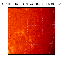 gong - 2024-06-30T16:00:02