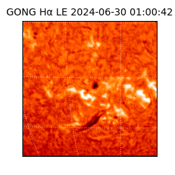 gong - 2024-06-30T01:00:42