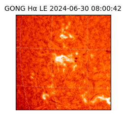 gong - 2024-06-30T08:00:42