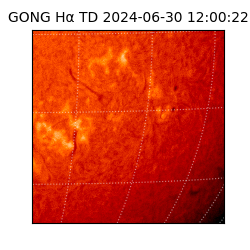 gong - 2024-06-30T12:00:22