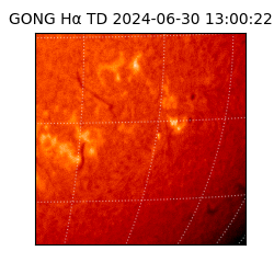 gong - 2024-06-30T13:00:22