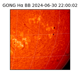 gong - 2024-06-30T22:00:02