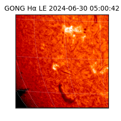 gong - 2024-06-30T05:00:42