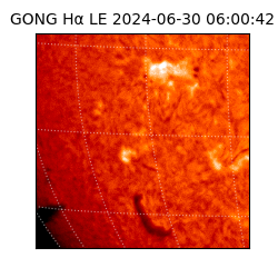 gong - 2024-06-30T06:00:42