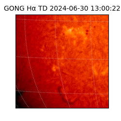 gong - 2024-06-30T13:00:22