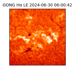 gong - 2024-06-30T06:00:42