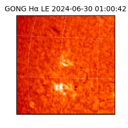 gong - 2024-06-30T01:00:42