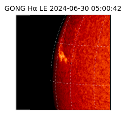 gong - 2024-06-30T05:00:42