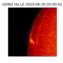 gong - 2024-06-30T05:00:42