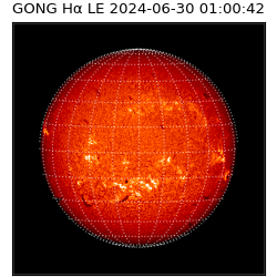 gong - 2024-06-30T01:00:42