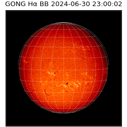 gong - 2024-06-30T23:00:02