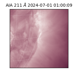 saia - 2024-07-01T01:00:09.626000