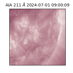 saia - 2024-07-01T09:00:09.626000