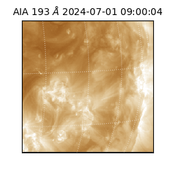 saia - 2024-07-01T09:00:04.843000