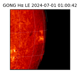 gong - 2024-07-01T01:00:42