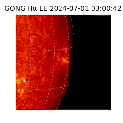 gong - 2024-07-01T03:00:42