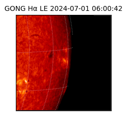gong - 2024-07-01T06:00:42