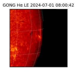 gong - 2024-07-01T08:00:42
