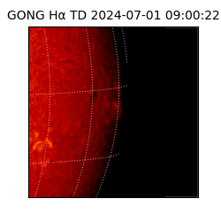 gong - 2024-07-01T09:00:22