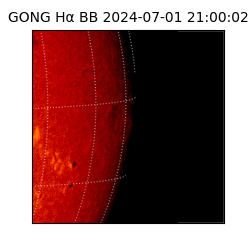 gong - 2024-07-01T21:00:02