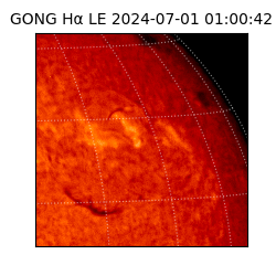gong - 2024-07-01T01:00:42