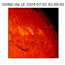 gong - 2024-07-01T02:00:42