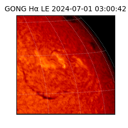 gong - 2024-07-01T03:00:42