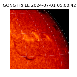gong - 2024-07-01T05:00:42