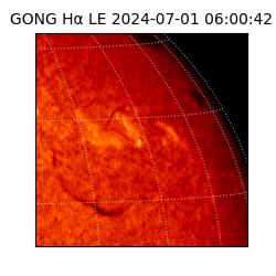gong - 2024-07-01T06:00:42