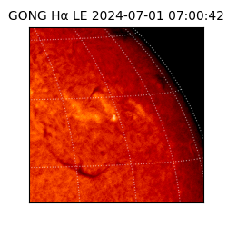 gong - 2024-07-01T07:00:42