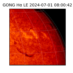 gong - 2024-07-01T08:00:42