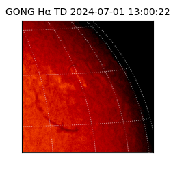 gong - 2024-07-01T13:00:22