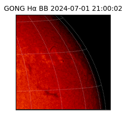 gong - 2024-07-01T21:00:02