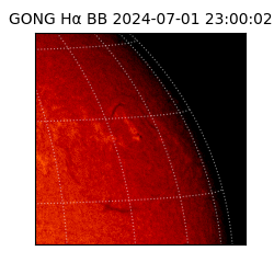 gong - 2024-07-01T23:00:02