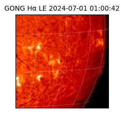 gong - 2024-07-01T01:00:42