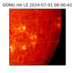 gong - 2024-07-01T06:00:42