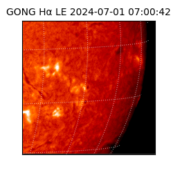 gong - 2024-07-01T07:00:42